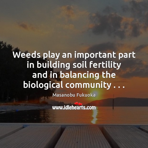 Weeds play an important part in building soil fertility and in balancing Masanobu Fukuoka Picture Quote