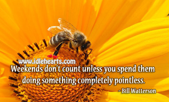 Weekends don’t count unless you spend them pointless. Bill Watterson Picture Quote