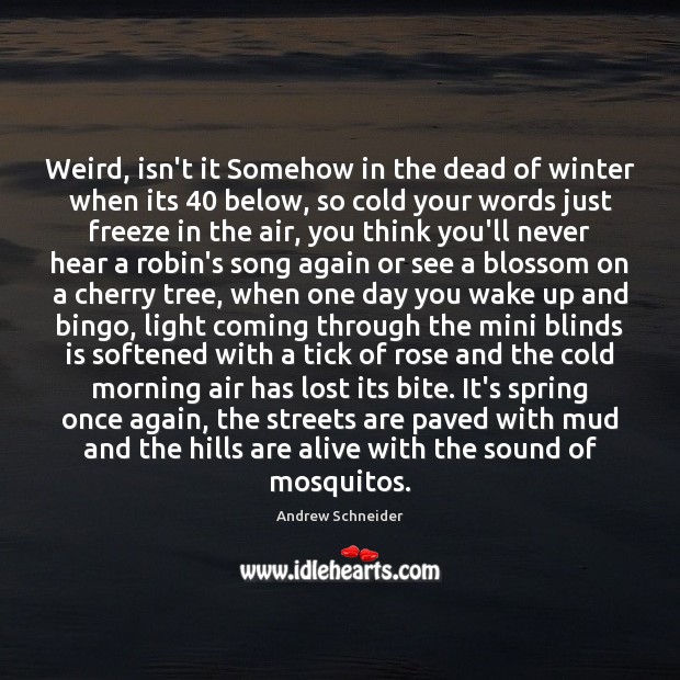 Weird, isn’t it Somehow in the dead of winter when its 40 below, Andrew Schneider Picture Quote
