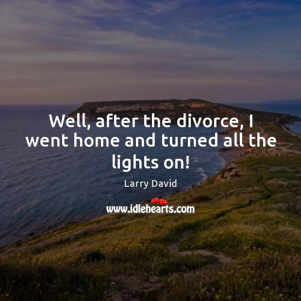 Well, after the divorce, I went home and turned all the lights on! Larry David Picture Quote