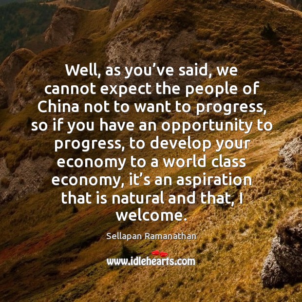 Well, as you’ve said, we cannot expect the people of china not to want to progress Sellapan Ramanathan Picture Quote