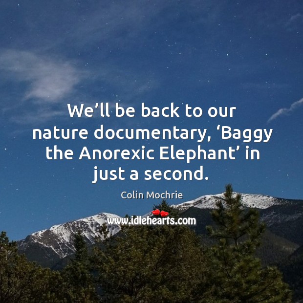 We’ll be back to our nature documentary, ‘baggy the anorexic elephant’ in just a second. Image