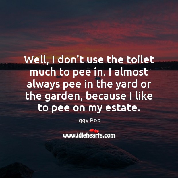 Well, I don’t use the toilet much to pee in. I almost Iggy Pop Picture Quote