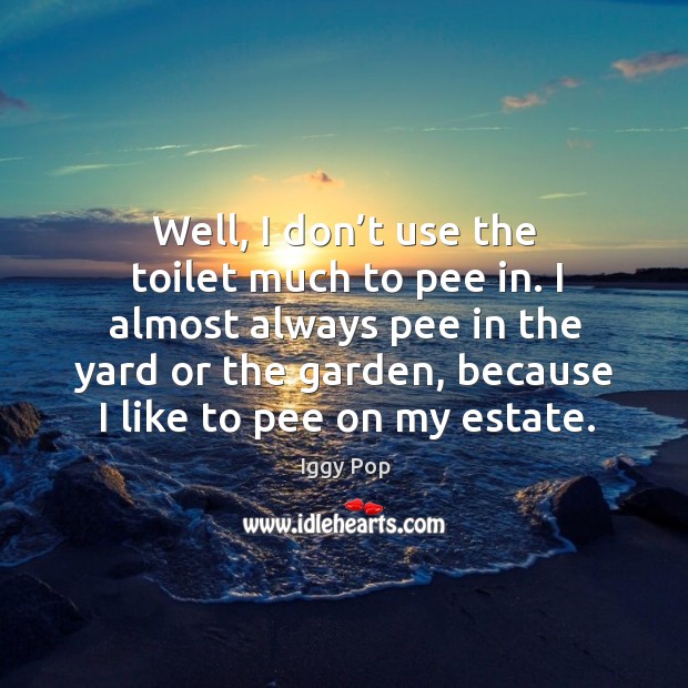 Well, I don’t use the toilet much to pee in. I almost always pee in the yard or the garden Iggy Pop Picture Quote