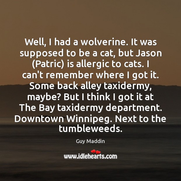Well, I had a wolverine. It was supposed to be a cat, Guy Maddin Picture Quote