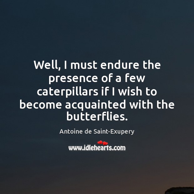 Well, I must endure the presence of a few caterpillars if I Antoine de Saint-Exupery Picture Quote