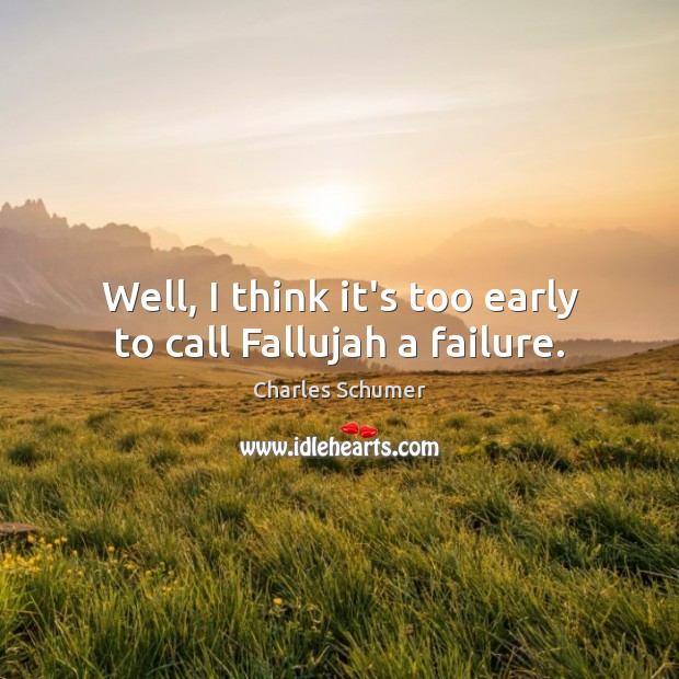 Well, I think it’s too early to call Fallujah a failure. Image