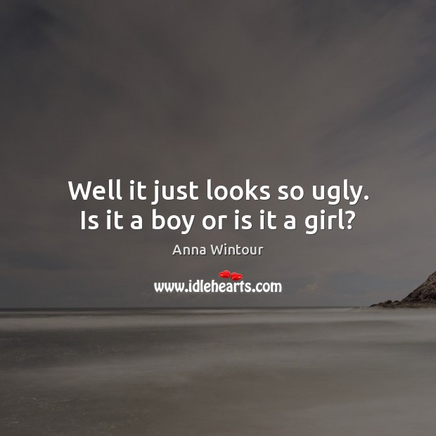 Well it just looks so ugly. Is it a boy or is it a girl? Anna Wintour Picture Quote