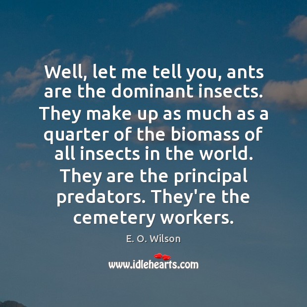 Well, let me tell you, ants are the dominant insects. They make E. O. Wilson Picture Quote
