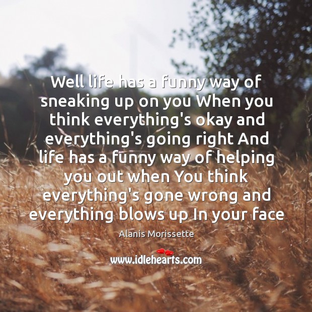 Well life has a funny way of sneaking up on you When Alanis Morissette Picture Quote
