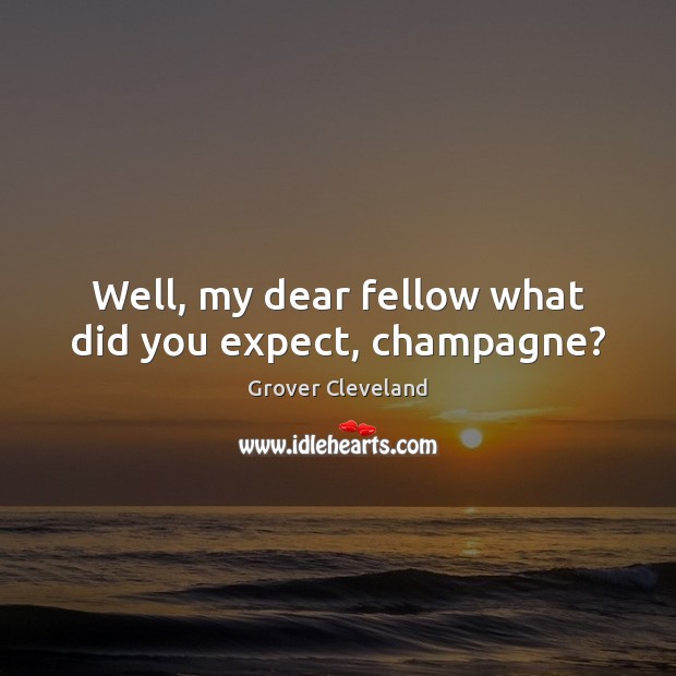 Well, my dear fellow what did you expect, champagne? Grover Cleveland Picture Quote