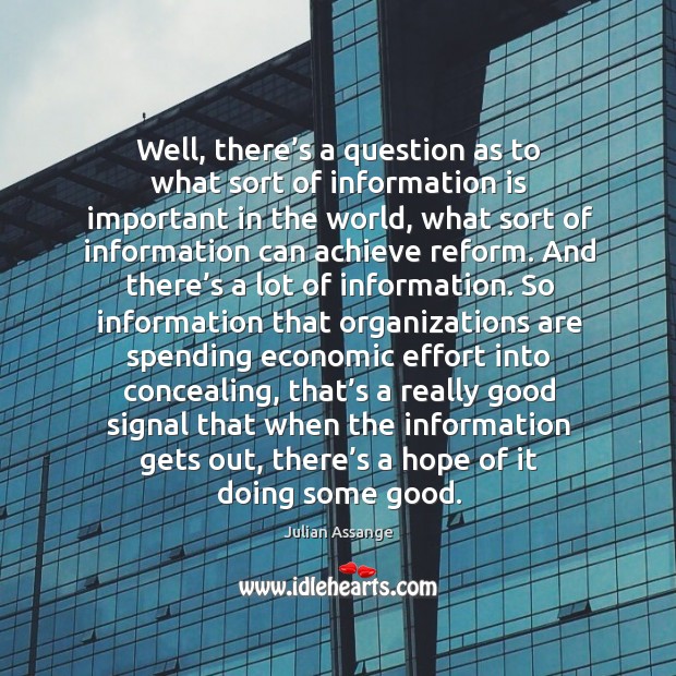 Well, there’s a question as to what sort of information is important in the world, what Julian Assange Picture Quote