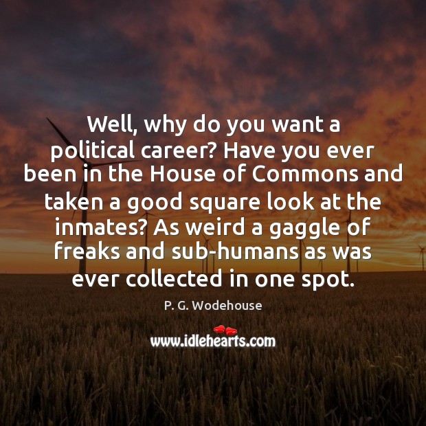 Well, why do you want a political career? Have you ever been P. G. Wodehouse Picture Quote