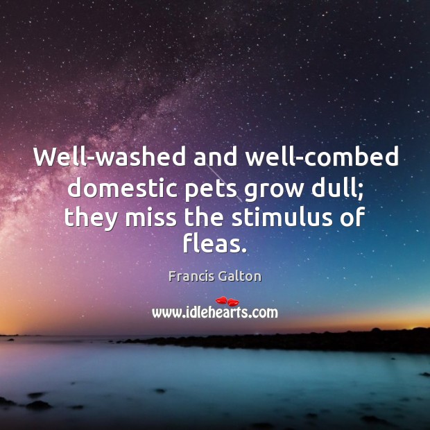 Well-washed and well-combed domestic pets grow dull; they miss the stimulus of fleas. Francis Galton Picture Quote
