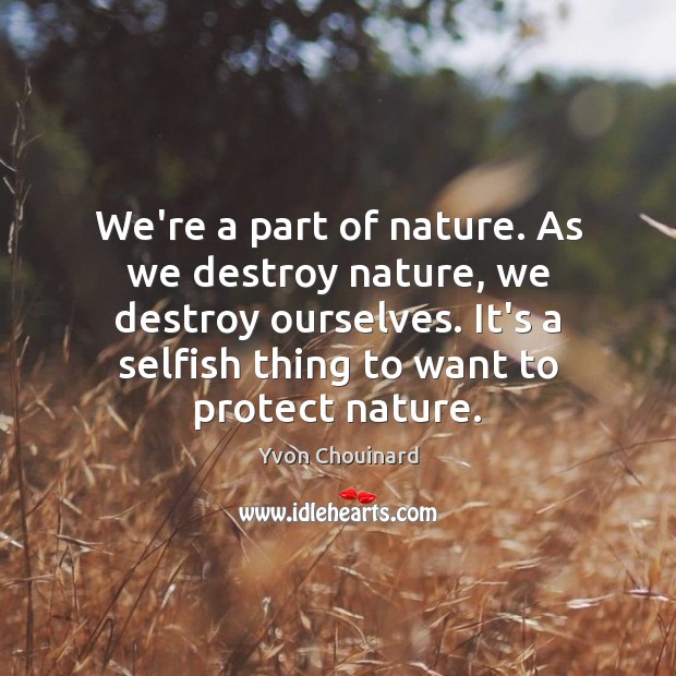 We’re a part of nature. As we destroy nature, we destroy ourselves. Yvon Chouinard Picture Quote
