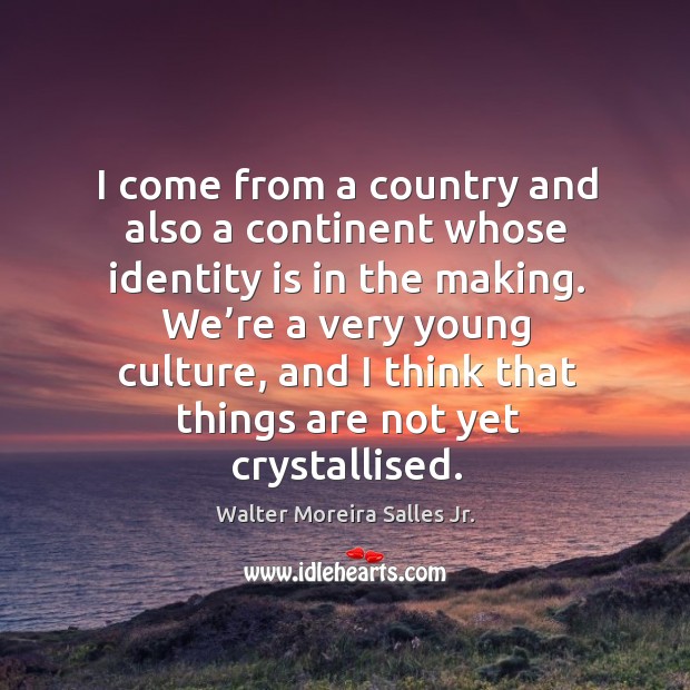 We’re a very young culture, and I think that things are not yet crystallised. Walter Moreira Salles Jr. Picture Quote