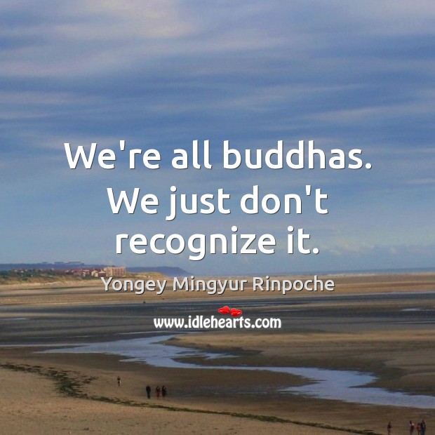 We’re all buddhas. We just don’t recognize it. Yongey Mingyur Rinpoche Picture Quote