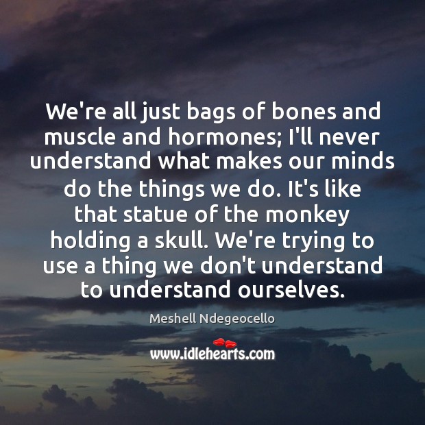 We’re all just bags of bones and muscle and hormones; I’ll never Meshell Ndegeocello Picture Quote