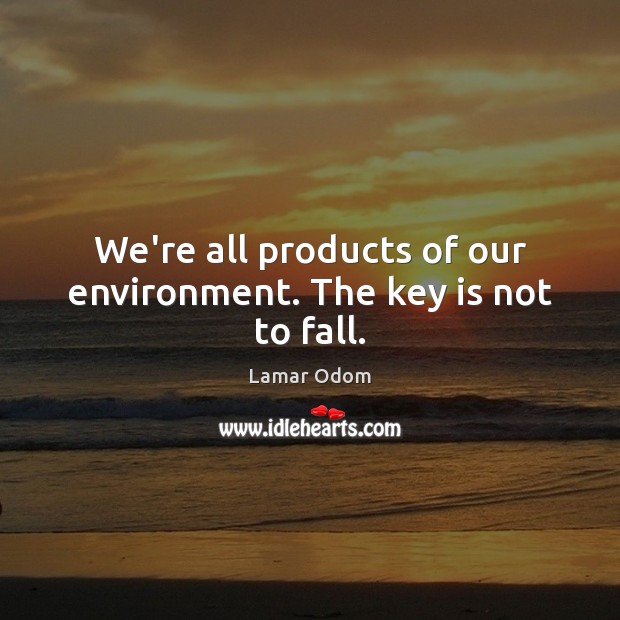 We’re all products of our environment. The key is not to fall. Lamar Odom Picture Quote
