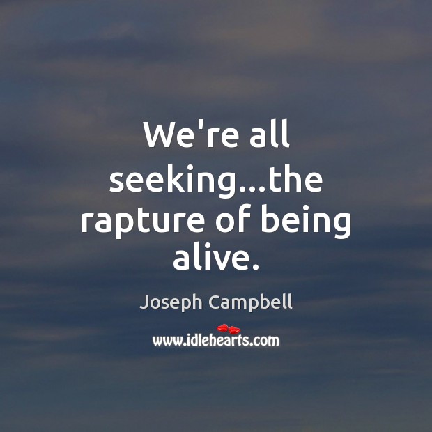 We’re all seeking…the rapture of being alive. Image