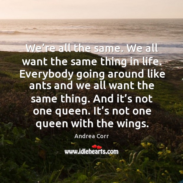 We’re all the same. We all want the same thing in life. Everybody going around like ants Andrea Corr Picture Quote