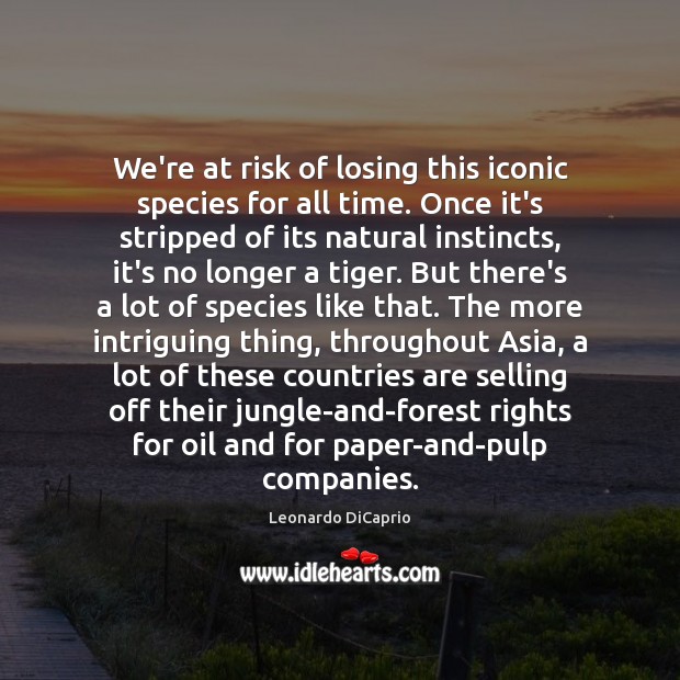 We’re at risk of losing this iconic species for all time. Once Leonardo DiCaprio Picture Quote