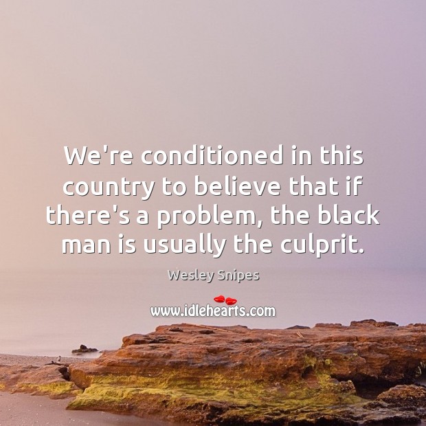 We’re conditioned in this country to believe that if there’s a problem, Wesley Snipes Picture Quote