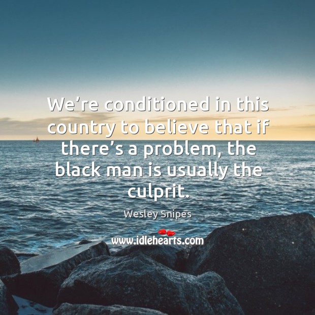 We’re conditioned in this country to believe that if there’s a problem, the black man is usually the culprit. Wesley Snipes Picture Quote