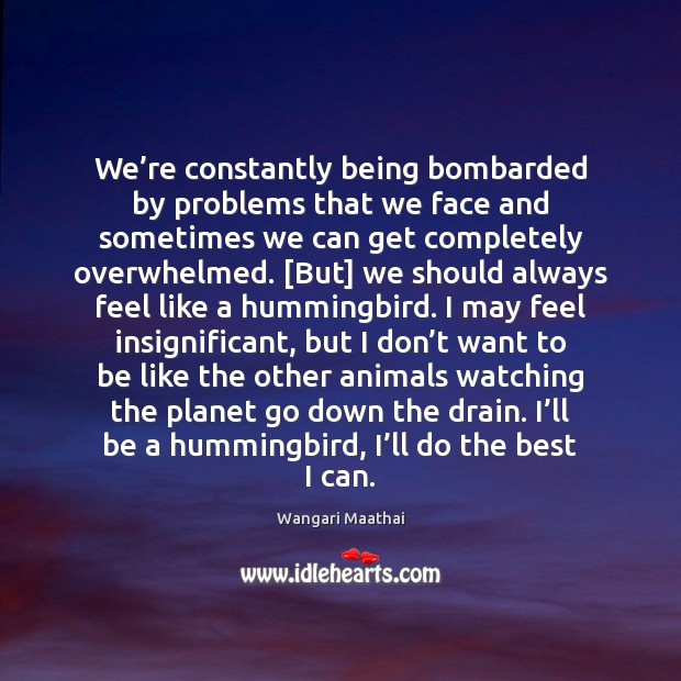We’re constantly being bombarded by problems that we face and sometimes Wangari Maathai Picture Quote