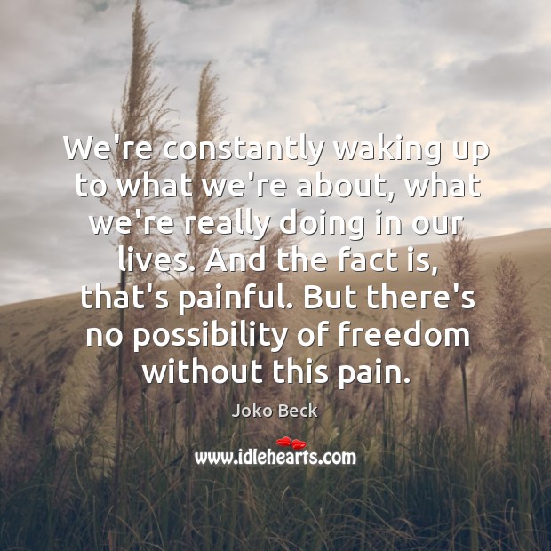 We’re constantly waking up to what we’re about, what we’re really doing Joko Beck Picture Quote