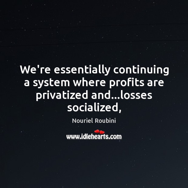 We’re essentially continuing a system where profits are privatized and…losses socialized, Nouriel Roubini Picture Quote