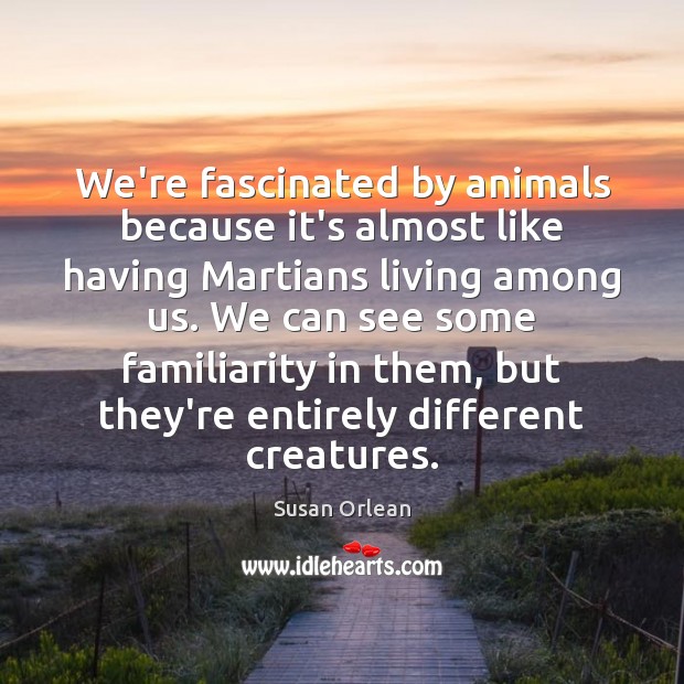 We’re fascinated by animals because it’s almost like having Martians living among Susan Orlean Picture Quote
