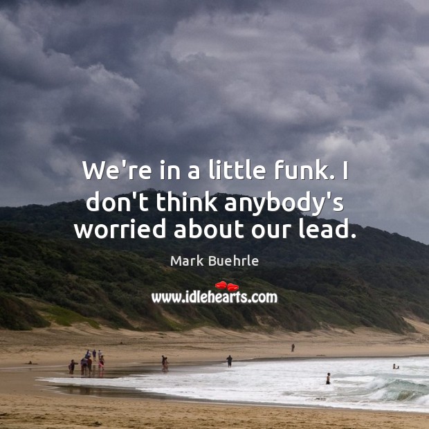 We’re in a little funk. I don’t think anybody’s worried about our lead. Mark Buehrle Picture Quote