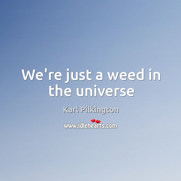 We’re just a weed in the universe Karl Pilkington Picture Quote