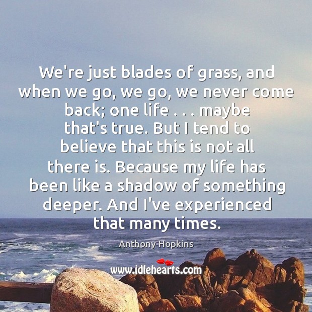 We’re just blades of grass, and when we go, we go, we Image