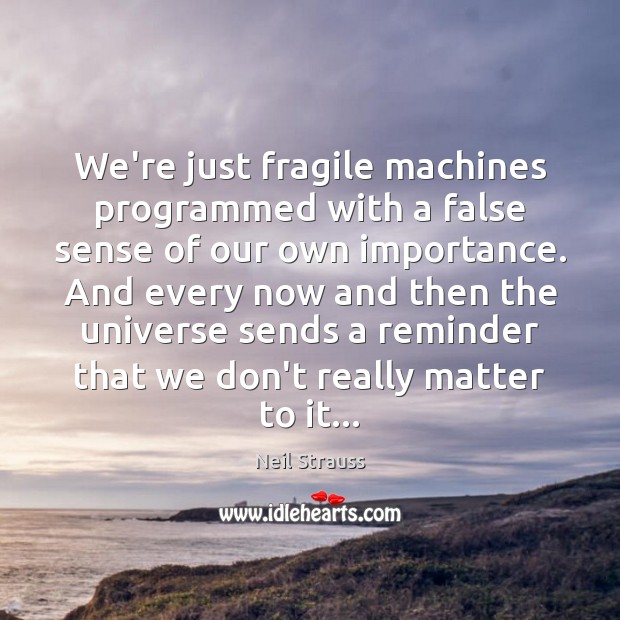 We’re just fragile machines programmed with a false sense of our own Neil Strauss Picture Quote