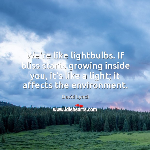 We’re like lightbulbs. If bliss starts growing inside you, it’s like a David Lynch Picture Quote