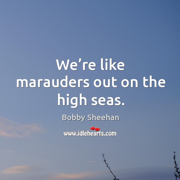 We’re like marauders out on the high seas. Bobby Sheehan Picture Quote