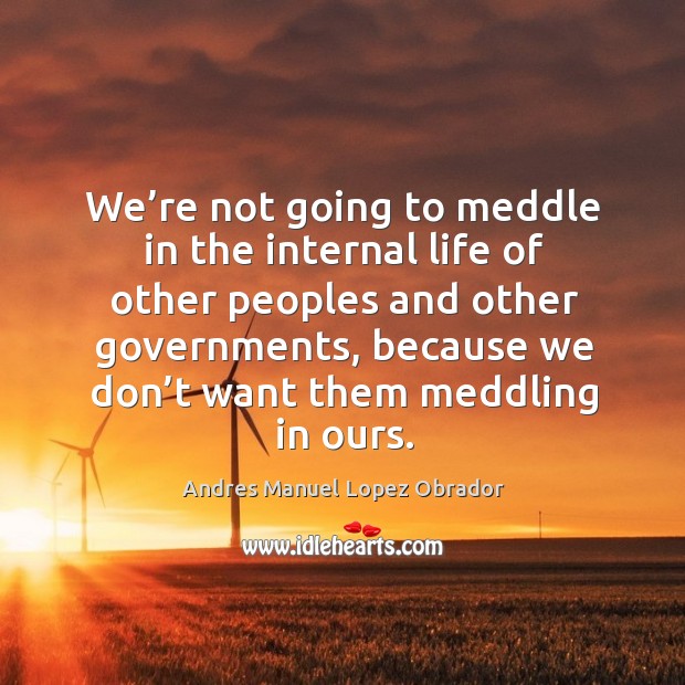 We’re not going to meddle in the internal life of other peoples and other governments Image