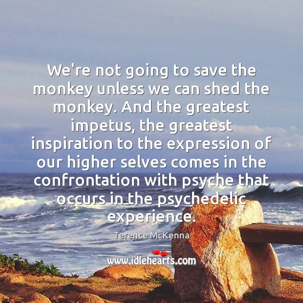 We’re not going to save the monkey unless we can shed the Terence McKenna Picture Quote