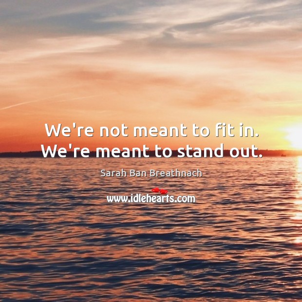 We’re not meant to fit in. We’re meant to stand out. Sarah Ban Breathnach Picture Quote