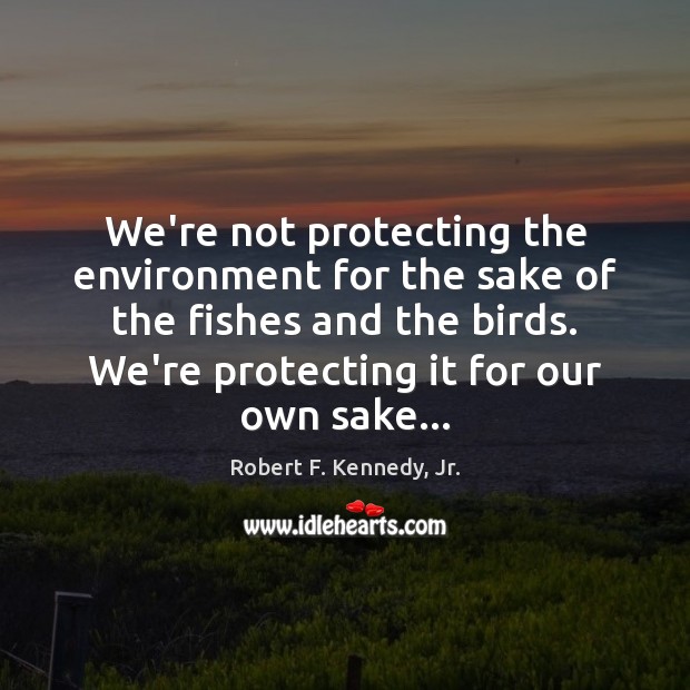 We’re not protecting the environment for the sake of the fishes and Robert F. Kennedy, Jr. Picture Quote