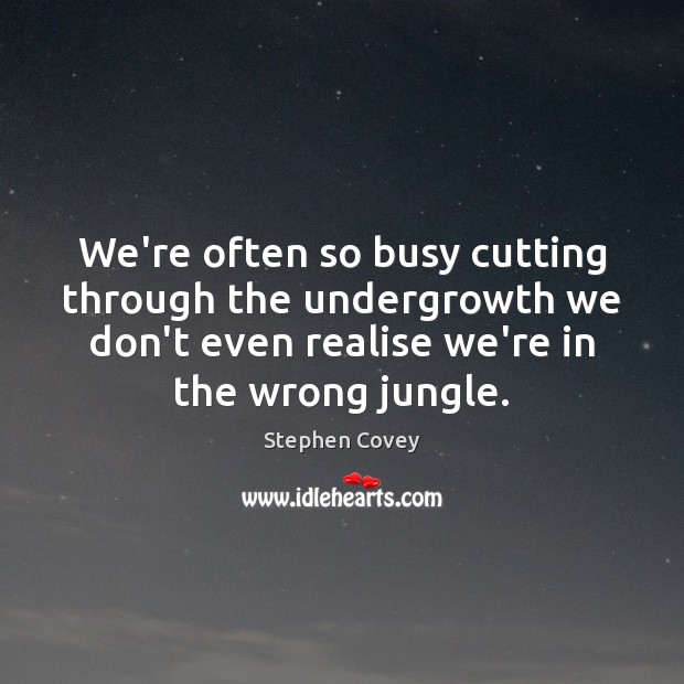 We’re often so busy cutting through the undergrowth we don’t even realise Stephen Covey Picture Quote