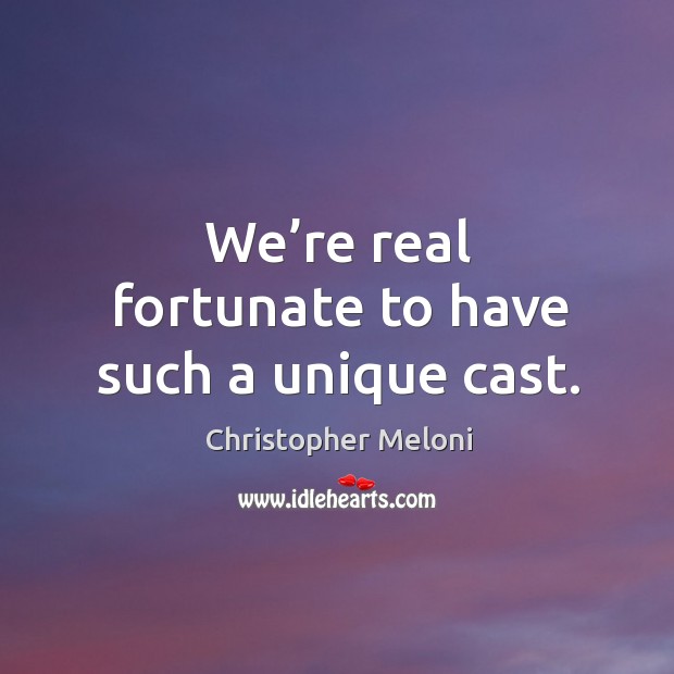 We’re real fortunate to have such a unique cast. Christopher Meloni Picture Quote