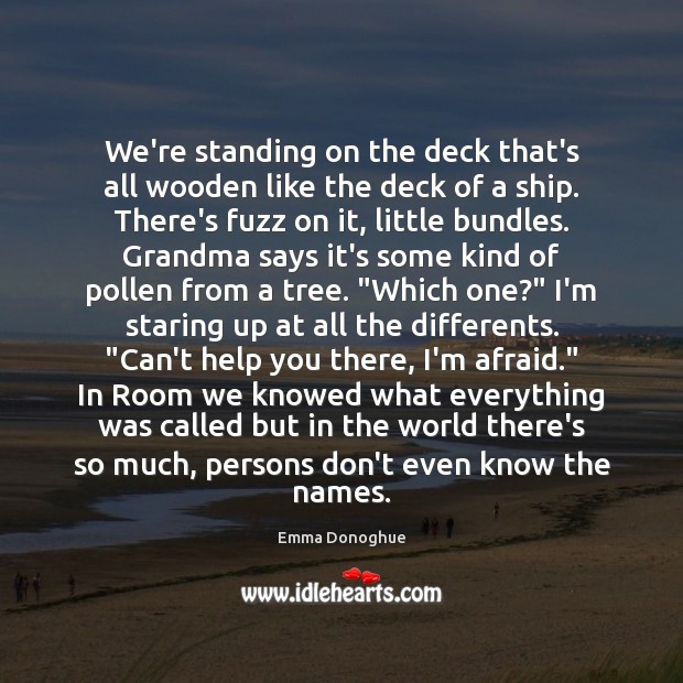 We’re standing on the deck that’s all wooden like the deck of Emma Donoghue Picture Quote