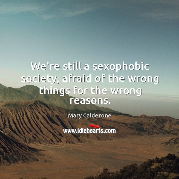 We’re still a sexophobic society, afraid of the wrong things for the wrong reasons. Mary Calderone Picture Quote