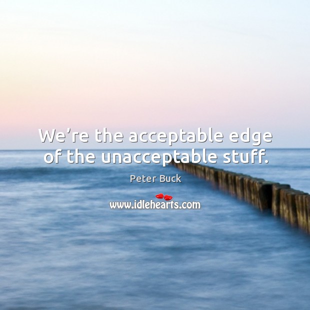 We’re the acceptable edge of the unacceptable stuff. Peter Buck Picture Quote