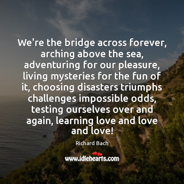 We’re the bridge across forever, arching above the sea, adventuring for our Richard Bach Picture Quote