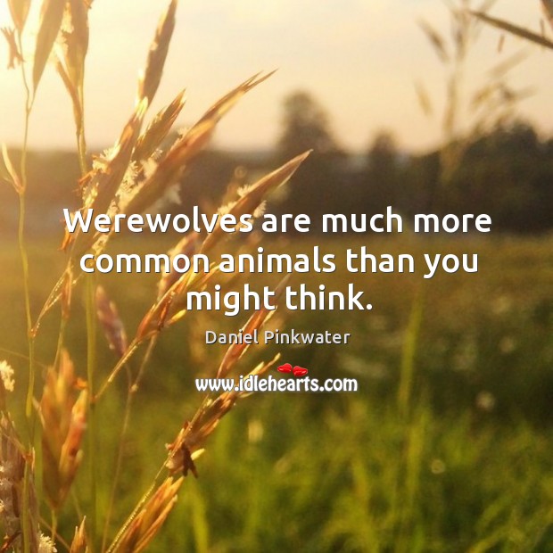 Werewolves are much more common animals than you might think. Daniel Pinkwater Picture Quote