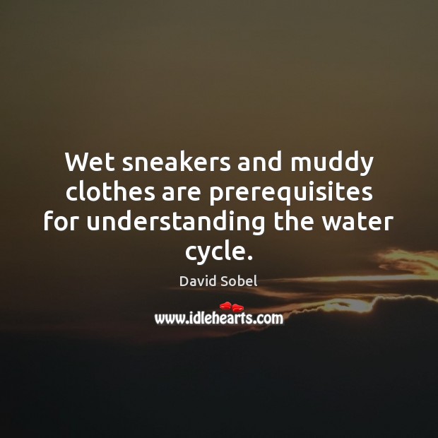 Wet sneakers and muddy clothes are prerequisites for understanding the water cycle. David Sobel Picture Quote